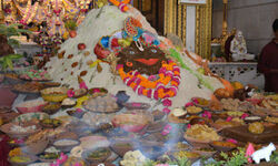 गोवर्धन पूजा-अन्नकूट का क्या महत्व, जानिए पूजा का पूरा विधि-विधान गोवर्धन पूजा-अन्नकूट का क्या महत्व, जानिए पूजा का पूरा विधि-विधान