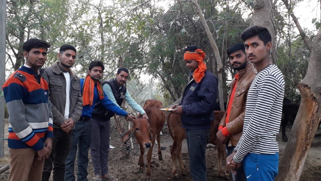 विश्व हिंदू परिषद और बजरंग दल के कार्यकर्ताओं ने किया गौ माता का पूजन विश्व हिंदू परिषद और बजरंग दल के कार्यकर्ताओं ने किया गौ माता का पूजन