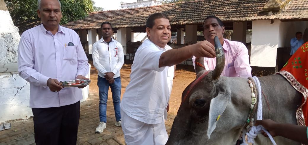 गोमाता में देवों के दर्शन के साथ जीवन की सभी जरुरते पूरी होती हैं - राजकुमार कोठारी