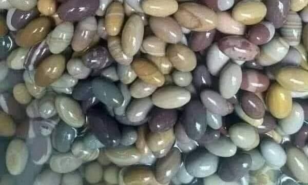 नर्मदा का हर कंकर है शंकर नर्मदा का हर कंकर है शंकर