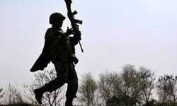 फिर एक कहानी...  बन्दूक