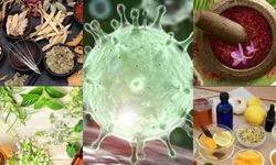 कोरोना संक्रमित मरीजों के इलाज में प्राकृतिक चिकित्सा कितनी कारगर