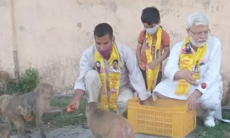 भारत स्वाभिमान ट्रस्ट पतंजलि योग समिति ने जानवरों को भोजन कराया भारत स्वाभिमान ट्रस्ट पतंजलि योग समिति ने जानवरों को भोजन कराया
