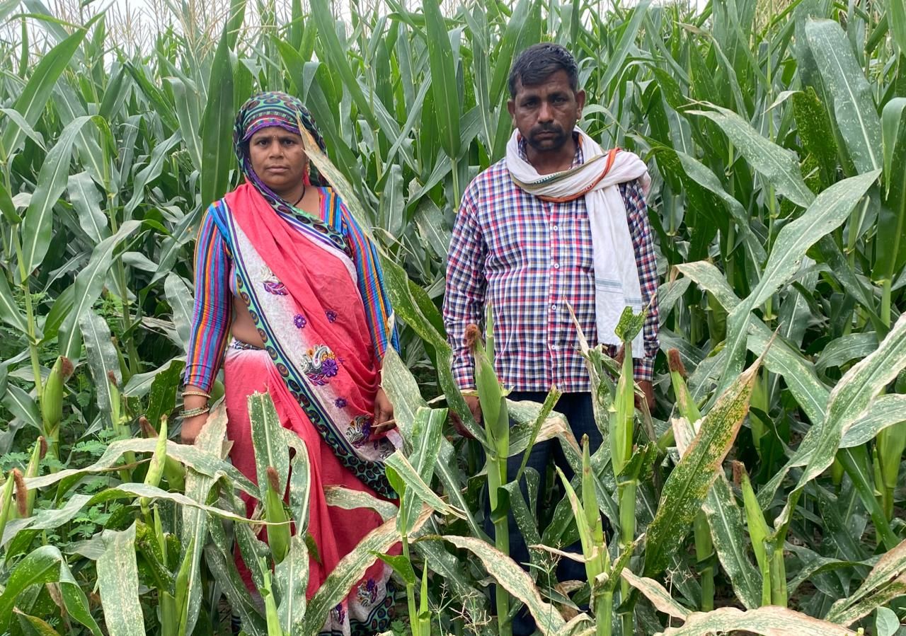 दलितों को मिली धमकी, वोट दो नही तो फसल सुखा दूंगा, सैफई क्षेत्र के  नगला अजाब  गाँव का मामला