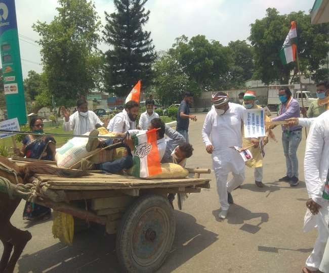 कन्नौज -कांग्रेसियों को घोड़े ने उलटाया, सड़क पर गिरे कार्यकर्ता