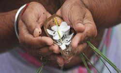 आज से शुरू हो रहे पितृ पक्ष, जानिए किन कार्यों को करने से पितृ प्रसन्न होते हैं.