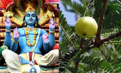 अक्षय नवमी : भगवान विष्णु के पूजन का दिन अक्षय नवमी : भगवान विष्णु के पूजन का दिन