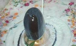 कल है महाशिवरात्रि, जानें कैसे करें शिव की आराधना, देखें पूजा विधि, शुभ मुहूर्त कल है महाशिवरात्रि, जानें कैसे करें शिव की आराधना, देखें पूजा विधि, शुभ मुहूर्त