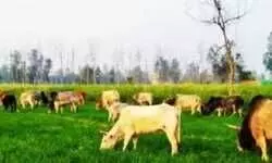 हर्रैया विधानसभा के किसानों की आवाज बने प्रवीण पाठक हर्रैया विधानसभा के किसानों की आवाज बने प्रवीण पाठक