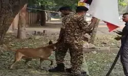 рджрд┐рд▓реНрд▓реА рдХреЗ рдкреНрд░рд╢рд╛рдВрдд рд╡рд┐рд╣рд╛рд░ рдореЗрдВ PVR рдХреЗ рдкрд╛рд╕ рддреЗрдЬ рдзрдорд╛рдХрд╛, рдорд┐рд▓реА рд╕рдлреЗрдж рдкрд╛рдЙрдбрд░ рдЬреИрд╕реА рдЪреАрдЬ рджрд┐рд▓реНрд▓реА рдХреЗ рдкреНрд░рд╢рд╛рдВрдд рд╡рд┐рд╣рд╛рд░ рдореЗрдВ PVR рдХреЗ рдкрд╛рд╕ рддреЗрдЬ рдзрдорд╛рдХрд╛, рдорд┐рд▓реА рд╕рдлреЗрдж рдкрд╛рдЙрдбрд░ рдЬреИрд╕реА рдЪреАрдЬ