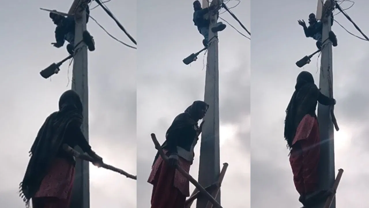 ‘दीदी नहीं काटूंगा बिजली’… पोल पर डंडा लेकर चढ़ी महिला, पूछा- बिल जमा, फिर क्यों लाइन काटी? गिड़गिड़ाने लगा लाइनमैन ‘दीदी नहीं काटूंगा बिजली’… पोल पर डंडा लेकर चढ़ी महिला, पूछा- बिल जमा, फिर क्यों लाइन काटी? गिड़गिड़ाने लगा लाइनमैन
