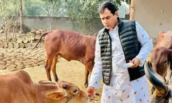 ‘रोजाना कट रही 50 हजार गायें, अधिकारी खा रहे पैसा’, BJP विधायक नंदकिशोर गुर्जर का बड़ा बयान