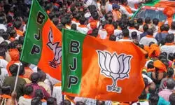 दिल्ली चुनाव: BJP कर सकती है महिलाओं को भत्ता और मुफ्त बिजली का ऐलान, घोषणापत्र समिति ने की सिफारिश दिल्ली चुनाव: BJP कर सकती है महिलाओं को भत्ता और मुफ्त बिजली का ऐलान, घोषणापत्र समिति ने की सिफारिश