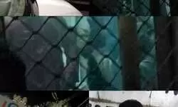 चंदौली में पुलिस चौकी बना मल्लयुद्ध का अखाड़ा: चालान काटने को लेकर भिड़े पुलिसकर्मी, चौकी इंचार्ज ने दीवान को बंद करके पीटा, वीडियो वायरल... चंदौली में पुलिस चौकी बना मल्लयुद्ध का अखाड़ा: चालान काटने को लेकर भिड़े पुलिसकर्मी, चौकी इंचार्ज ने दीवान को बंद करके पीटा, वीडियो वायरल...