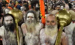 рд╕рдмрд╕реЗ рдмрдбрд╝реЗ рдЕрдореГрдд рд╕реНрдирд╛рди рдХреЗ рд▓рд┐рдП рдЕрдЦрд╛рдбрд╝реЛрдВ рдХреА рд╕рдЬреАрдВ рд╢рд╛рд╣реА рд╕рд╡рд╛рд░рд┐рдпрд╛рдВ, 21 рд╢реНрд░реГрдВрдЧрд╛рд░ рдХрд░рдХреЗ рдирд┐рдХрд▓реЗрдВрдЧреЗ рдирд╛рдЧрд╛ рд╕рдмрд╕реЗ рдмрдбрд╝реЗ рдЕрдореГрдд рд╕реНрдирд╛рди рдХреЗ рд▓рд┐рдП рдЕрдЦрд╛рдбрд╝реЛрдВ рдХреА рд╕рдЬреАрдВ рд╢рд╛рд╣реА рд╕рд╡рд╛рд░рд┐рдпрд╛рдВ, 21 рд╢реНрд░реГрдВрдЧрд╛рд░ рдХрд░рдХреЗ рдирд┐рдХрд▓реЗрдВрдЧреЗ рдирд╛рдЧрд╛