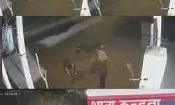 चंदौली में खुलेआम अपराध: दबंगों ने युवक को रॉड से ताबड़तोड़ वार कर किया अधमरा, नहर में फेंका.. चंदौली में खुलेआम अपराध: दबंगों ने युवक को रॉड से ताबड़तोड़ वार कर किया अधमरा, नहर में फेंका..