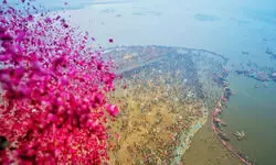 महाकुंभ 2025 के अंतिम अमृत स्नान पर हेलीकॉप्टर से श्रद्धालुओं पर हुई पुष्पवर्षा, लगे जयकारे महाकुंभ 2025 के अंतिम अमृत स्नान पर हेलीकॉप्टर से श्रद्धालुओं पर हुई पुष्पवर्षा, लगे जयकारे