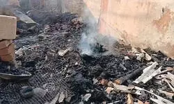 कानपुर : दुकान में अचानक लगी भीषण आग, एक की सोते समय जलकर मौत, जांच में जुटी पुलिस कानपुर : दुकान में अचानक लगी भीषण आग, एक की सोते समय जलकर मौत, जांच में जुटी पुलिस