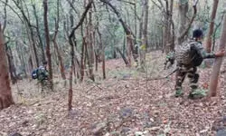 рдмреАрдЬрд╛рдкреБрд░ рдореЗрдВ рд╕реБрд░рдХреНрд╖рд╛рдмрд▓реЛрдВ рдХреА рдмрдбрд╝реА рдХрд╛рд░реНрд░рд╡рд╛рдИ, 31 рдирдХреНрд╕рд▓рд┐рдпреЛрдВ рдХреЛ рдХрд┐рдпрд╛ рдвреЗрд░, 2 рдЬрд╡рд╛рди рднреА рд╢рд╣реАрдж рдмреАрдЬрд╛рдкреБрд░ рдореЗрдВ рд╕реБрд░рдХреНрд╖рд╛рдмрд▓реЛрдВ рдХреА рдмрдбрд╝реА рдХрд╛рд░реНрд░рд╡рд╛рдИ, 31 рдирдХреНрд╕рд▓рд┐рдпреЛрдВ рдХреЛ рдХрд┐рдпрд╛ рдвреЗрд░, 2 рдЬрд╡рд╛рди рднреА рд╢рд╣реАрдж