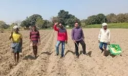 गन्ने के साथ कृषक करें साफसली की खेती होगी आय दोगुना - गगन पांडेय