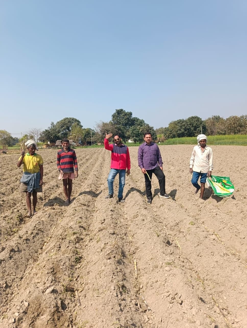 गन्ने के साथ कृषक करें साफसली की खेती होगी आय दोगुना - गगन पांडेय गन्ने के साथ कृषक करें साफसली की खेती होगी आय दोगुना - गगन पांडेय