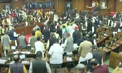 सपा विधायक ने कुत्ते से कर दी यूपी के शिक्षामित्रों की तुलना? यूपी विधानसभा में बीजेपी ने किया हंगामा