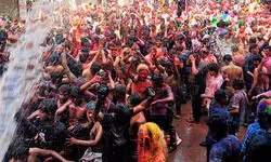 लखनऊ: होली के हुड़दंग में 410 मरीज पहुंचे अस्पताल, 160 हुए भर्ती, कुत्ते भी हुए बदहवाश; 38 लोगों को नोंचा