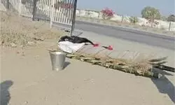 मैहर में विकास तिवारी नामक युवक को जिंदा जलाकर उतार दिया मौत के घाट