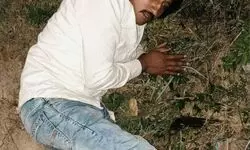 सर जी गलती हो गई-गाय हमारी माता, अब नहीं करेंगे गोकशी; शामली पुलिस ने मुठभेड़ में गिरफ्तार किए गोकश