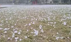 UP में बारिश और ओलावृष्टि का कहर, फसलें बर्बाद, CM योगी ने अधिकारियों को दिए ये निर्देश