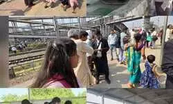 डीडीयू मंडल में चला सघन टिकट चेकिंग अभियान: 1714 बेटिकट यात्री पकड़ाए, 8 लाख 73 हजार की हुई राजस्व वसूली डीडीयू मंडल में चला सघन टिकट चेकिंग अभियान: 1714 बेटिकट यात्री पकड़ाए, 8 लाख 73 हजार की हुई राजस्व वसूली