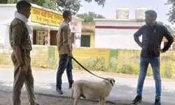 चंदौली में मासूम की रहस्यमय गुमशुदगी से सनसनी: खोजी कुत्ते से तलाश, अपहरण की आशंका गहराई