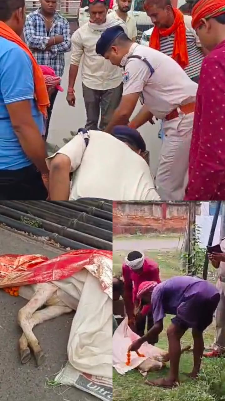 रेलवे प्रांगण में बछड़े की दर्दनाक मौत, अधिकारियों की उदासीनता पर गौ रक्षकों का विरोध प्रदर्शन रेलवे प्रांगण में बछड़े की दर्दनाक मौत, अधिकारियों की उदासीनता पर गौ रक्षकों का विरोध प्रदर्शन