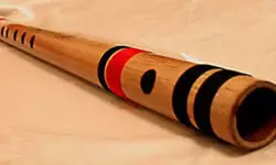 वाद्य यंत्र घोटाला उजागर होने के बाद भी अधिकारियों ने वितरण जारी रखा, मंत्री ने फटकार लगाई