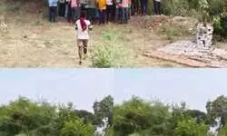 हाईवे किनारे पेड़ के पास मिला महिला का शव, इलाके में मचा हड़कंप हाईवे किनारे पेड़ के पास मिला महिला का शव, इलाके में मचा हड़कंप