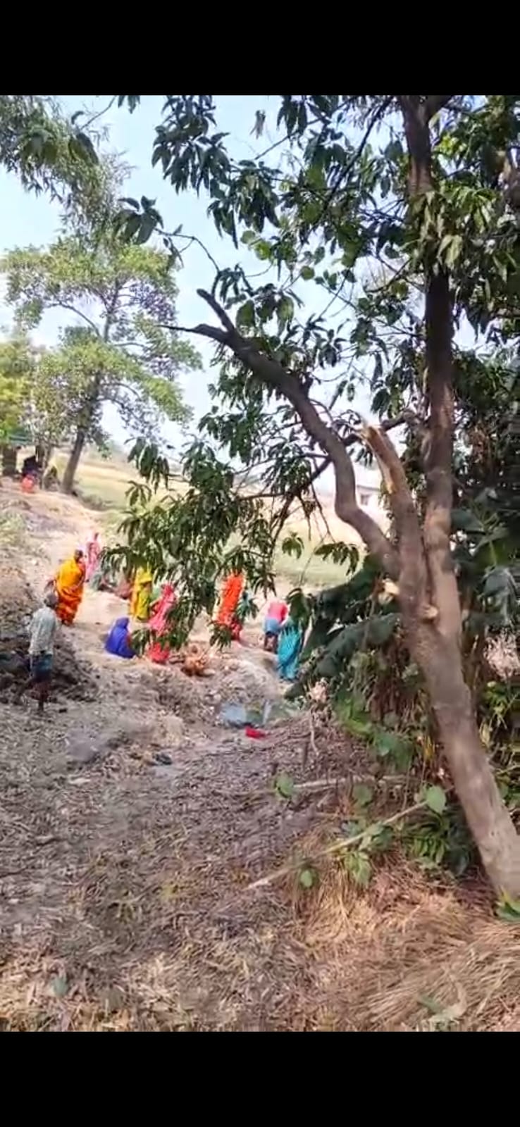 हरे पेड़ों के रखवाले बने ग्रामीण, प्रधान की मनमानी पर लगाई लगाम हरे पेड़ों के रखवाले बने ग्रामीण, प्रधान की मनमानी पर लगाई लगाम