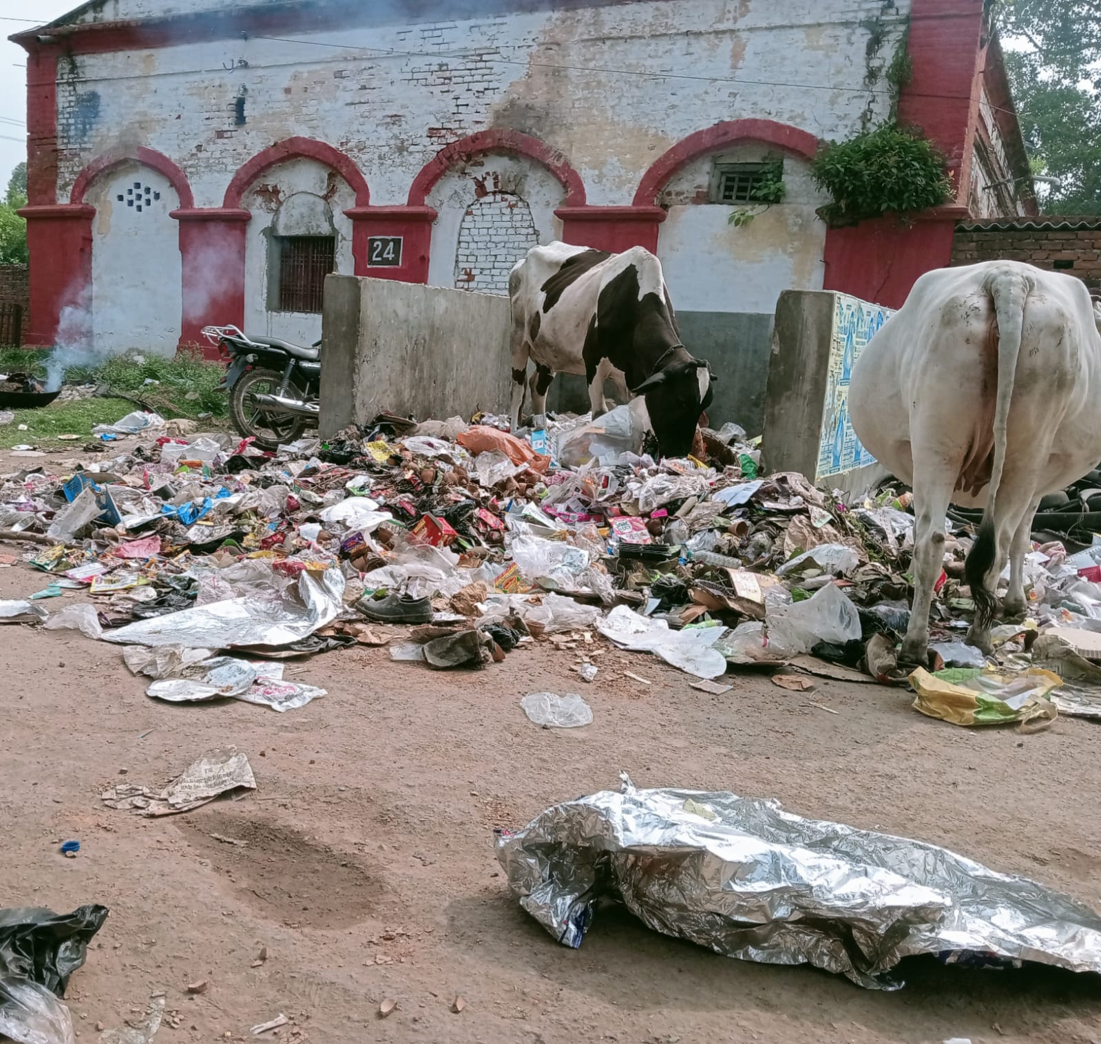 डीडीयू रेलवे कॉलोनी में सफाई का खेल!लाखों के टेंडर के बाद भी गंदगी का साम्राज्य,कर्मचारी बीमारी की कगार पर डीडीयू रेलवे कॉलोनी में सफाई का खेल!लाखों के टेंडर के बाद भी गंदगी का साम्राज्य,कर्मचारी बीमारी की कगार पर