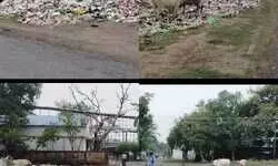 डीडीयू रेलवे कॉलोनी में सफाई का ठेका बना बीमारी की जड़, कूड़े के ढेर में दब रही जिम्मेदारियां, अधिकारी चुप और ठेकेदार बेलगाम