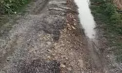 धीना-बैरी मार्ग की दुर्दशा, आधा दर्जन गांवों के ग्रामीणों की राह मुश्किल