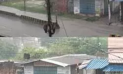 ढाई घंटे की झमाझम बारिश से मुगलसराय को बड़ी राहत, तापमान लुढ़ककर 31 °C; IMD ने 2 जुलाई तक लगातार बारिश का अनुमान जताया