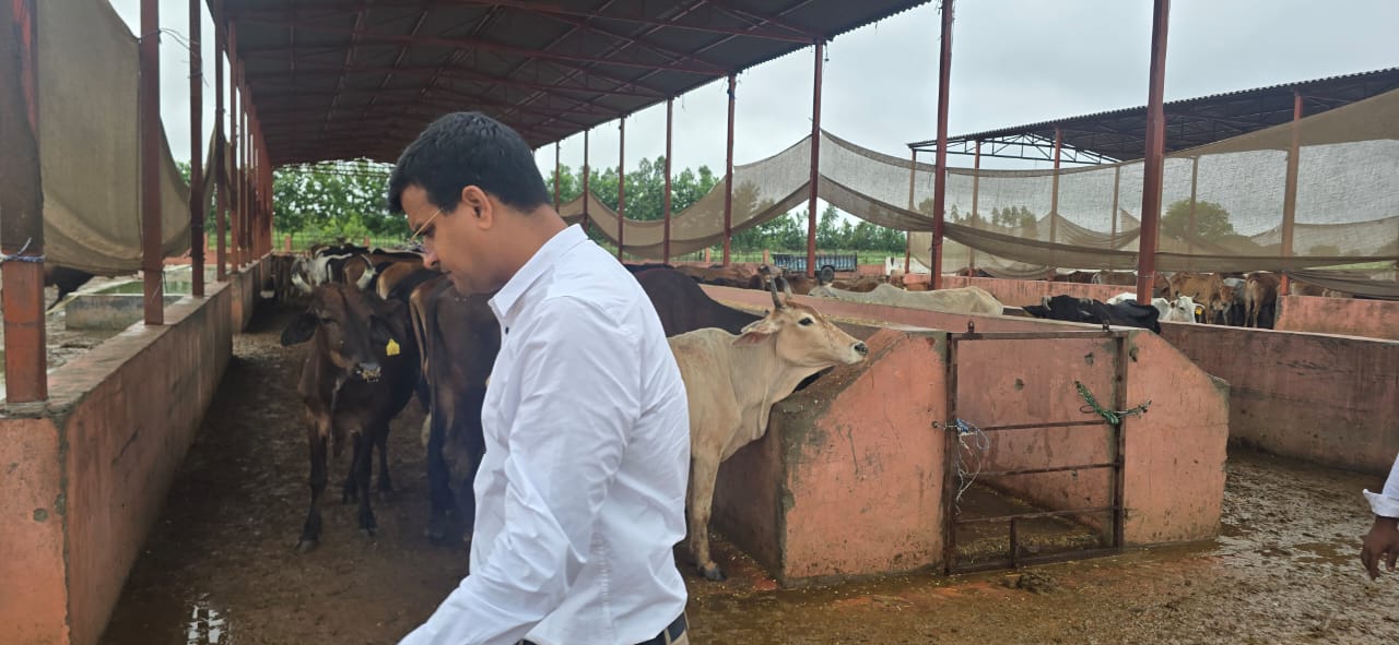 बरसात के मौसम को देखते हुए एसडीएम ने गौशाला में पपरखी व्यवस्थाएं बरसात के मौसम को देखते हुए एसडीएम ने गौशाला में पपरखी व्यवस्थाएं