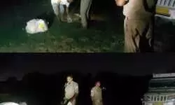 рдЧрдВрдЧрд╛ рдХрд┐рдирд╛рд░реЗ рдмрдмреВрд▓ рдХреЗ рдкреЗрдбрд╝ рд╕реЗ рд▓рдЯрдХрд╛ рдорд┐рд▓рд╛ рдпреБрд╡рдХ рдХрд╛ рд╢рд╡, рдЯреЛрдЯреЛ рдХреА рдЪрд╛рдмреА рдФрд░ рдореЛрдмрд╛рдЗрд▓ рдмрд░рд╛рдордж, рдЬрд╛рдВрдЪ рдореЗрдВ рдЬреБрдЯреА рдкреБрд▓рд┐рд╕ рдЧрдВрдЧрд╛ рдХрд┐рдирд╛рд░реЗ рдмрдмреВрд▓ рдХреЗ рдкреЗрдбрд╝ рд╕реЗ рд▓рдЯрдХрд╛ рдорд┐рд▓рд╛ рдпреБрд╡рдХ рдХрд╛ рд╢рд╡, рдЯреЛрдЯреЛ рдХреА рдЪрд╛рдмреА рдФрд░ рдореЛрдмрд╛рдЗрд▓ рдмрд░рд╛рдордж, рдЬрд╛рдВрдЪ рдореЗрдВ рдЬреБрдЯреА рдкреБрд▓рд┐рд╕