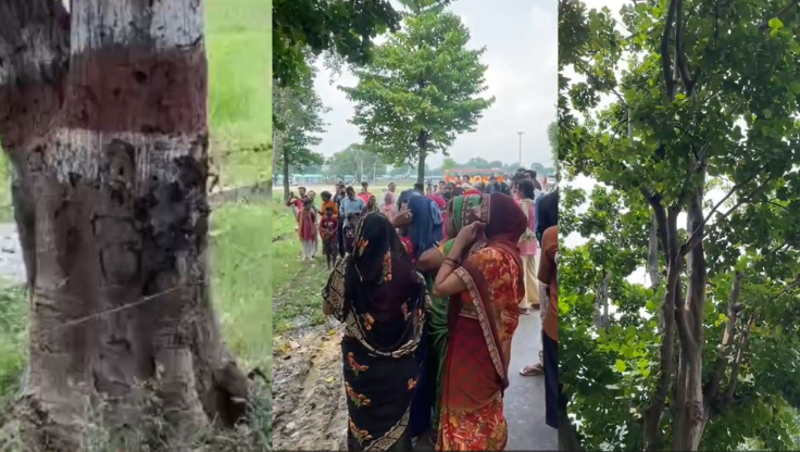 बाराबंकी का पेड़ जिसने बना दिया ‘पानी का फव्वारा’, वायरल वीडियो के पीछे है वैज्ञानिक वजह बाराबंकी का पेड़ जिसने बना दिया ‘पानी का फव्वारा’, वायरल वीडियो के पीछे है वैज्ञानिक वजह