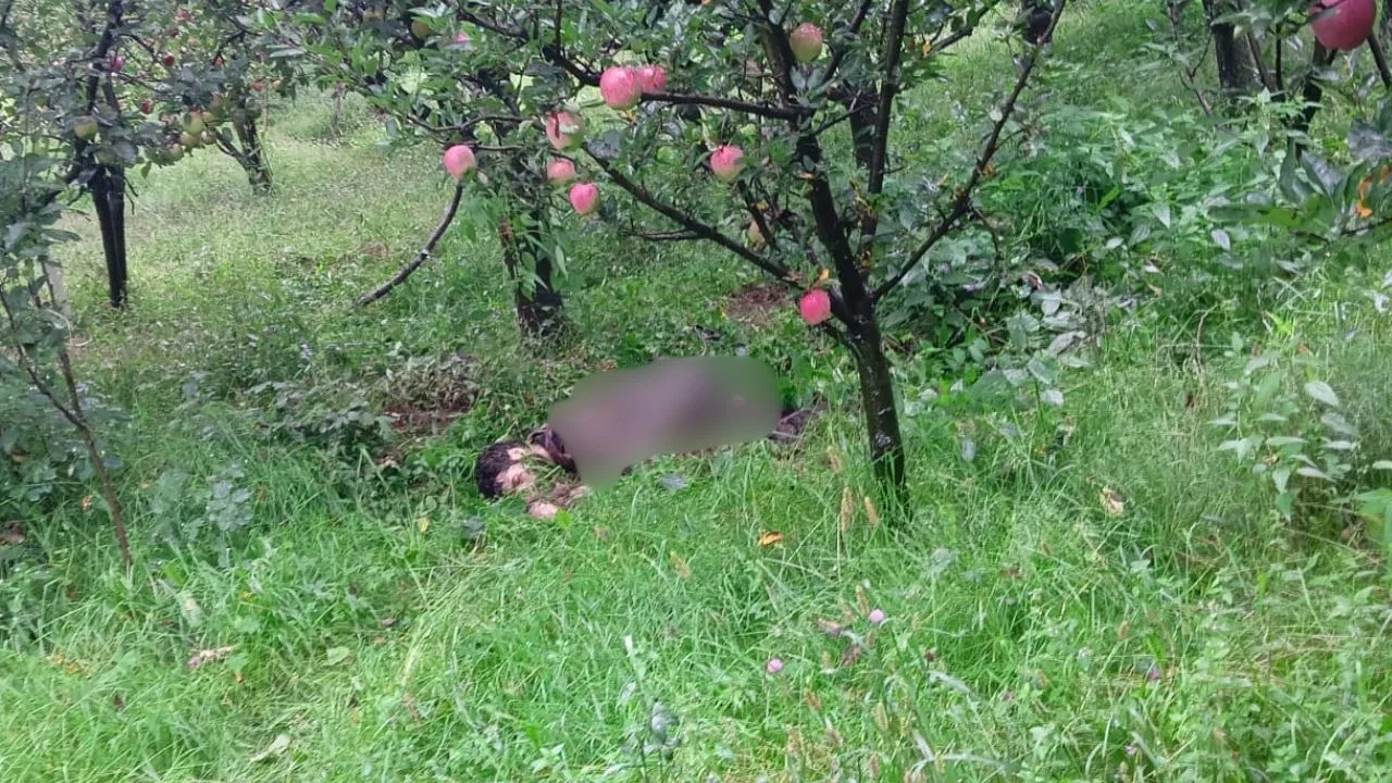 कुलगाम में सुरक्षाबलों और आतंकवादियों के बीच मुठभेड़, एक आतंकी ढेर कुलगाम में सुरक्षाबलों और आतंकवादियों के बीच मुठभेड़, एक आतंकी ढेर