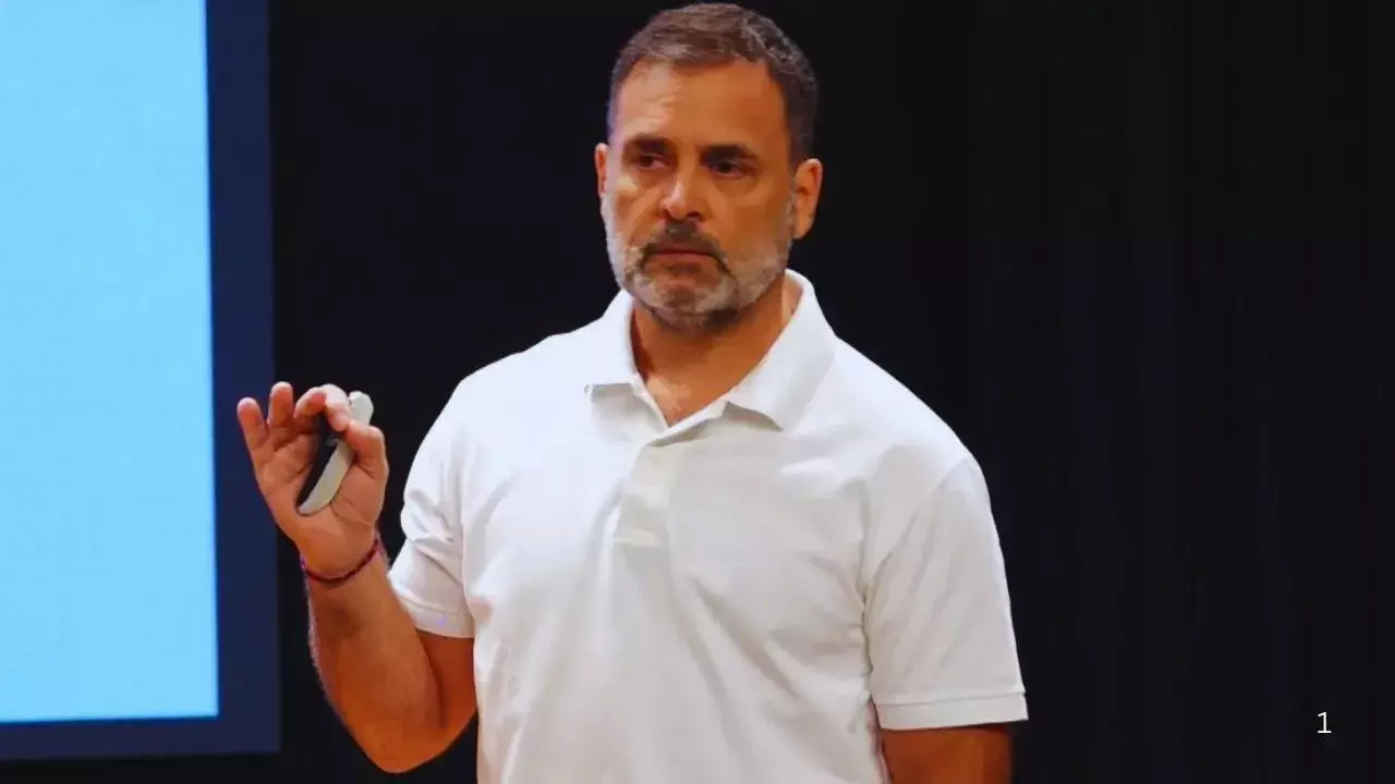 рд░рд╛рд╣реБрд▓ рдЧрд╛рдВрдзреА рдиреЗ рдЖрдЬ рд░рдЦреЗ рд╡реЛрдЯ рдХрд╛рдЯрдиреЗ рдХреЗ рд╕рдмреВрдд, рдкреНрд░реЗрд╕ рдХреЙрдиреНрдлреНрд░реЗрдВрд╕ рдореЗрдВ рдЧрд╡рд╛рд╣реЛрдВ рдХреЗ рд╕рд╛рде рдкрд╣реБрдВрдЪреЗ рд░рд╛рд╣реБрд▓ рдЧрд╛рдВрдзреА рдиреЗ рдЖрдЬ рд░рдЦреЗ рд╡реЛрдЯ рдХрд╛рдЯрдиреЗ рдХреЗ рд╕рдмреВрдд, рдкреНрд░реЗрд╕ рдХреЙрдиреНрдлреНрд░реЗрдВрд╕ рдореЗрдВ рдЧрд╡рд╛рд╣реЛрдВ рдХреЗ рд╕рд╛рде рдкрд╣реБрдВрдЪреЗ