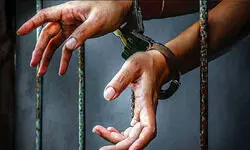 प्रयागराज : घूरपुर में अपहरण व सामूहिक दुष्कर्म के मामले में पुलिस की बड़ी कार्रवाई — तीन आरोपी गिरफ्तार, सीएम योगी ने लिया संज्ञान