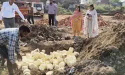 मुजफ्फरनगर: दीपावली से पहले खाद्य विभाग की सख्त कार्रवाई, मिलावटी मावा पर शिकंजा मुजफ्फरनगर: दीपावली से पहले खाद्य विभाग की सख्त कार्रवाई, मिलावटी मावा पर शिकंजा