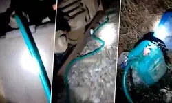 बरेली : टिसुआ रेलवे स्टेशन पर मालगाड़ी से डीजल चोरी, जांच में जुटी आरपीएफ बरेली : टिसुआ रेलवे स्टेशन पर मालगाड़ी से डीजल चोरी, जांच में जुटी आरपीएफ