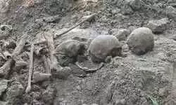 बंगाल : अशोकनगर में घर की खुदाई के दौरान निकले कई मानव कंकाल