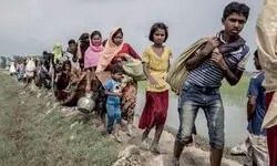 अवैध रूप से आए रोहिंग्या मामले पर SC की तल्ख टिप्पणी- क्या हम उनके लिए रेड कारपेट बिछाएं…